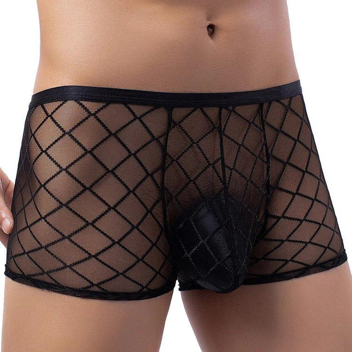 Przezroczyste bokserki z siateczki - Provoness